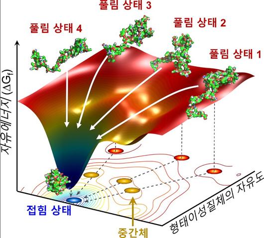 헤럴드경제