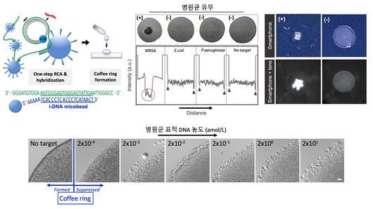 헤럴드경제