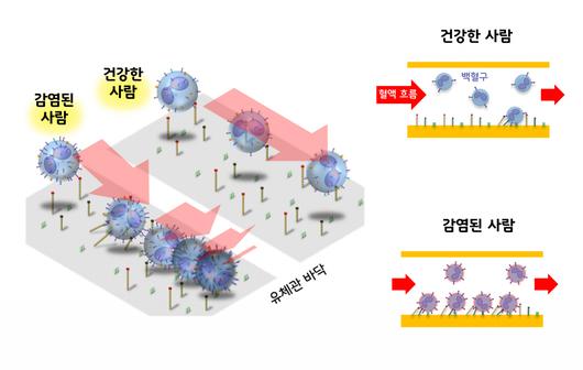 헤럴드경제