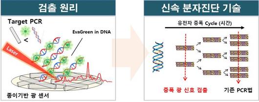 헤럴드경제