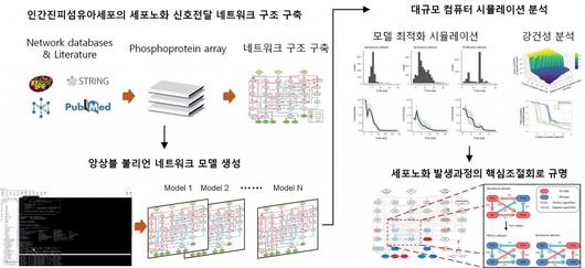 헤럴드경제