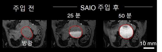 헤럴드경제