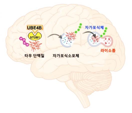 헤럴드경제