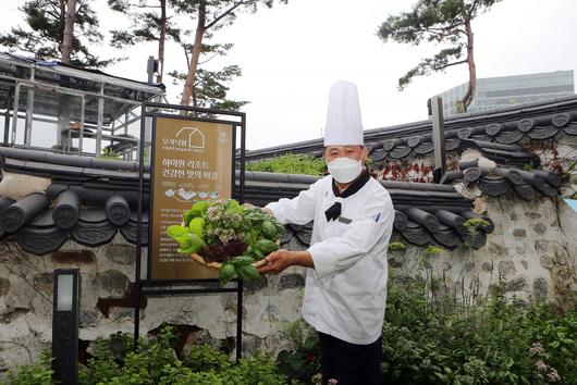 헤럴드경제