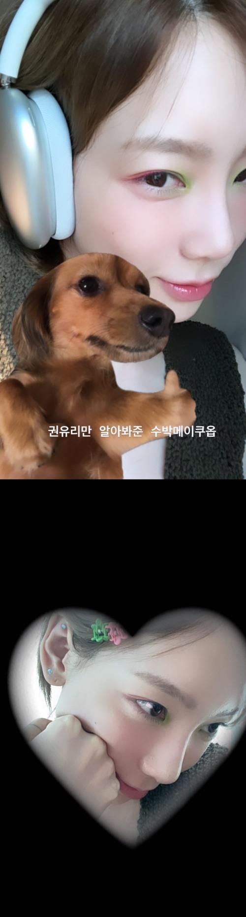 헤럴드경제