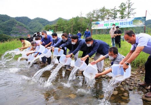 헤럴드경제