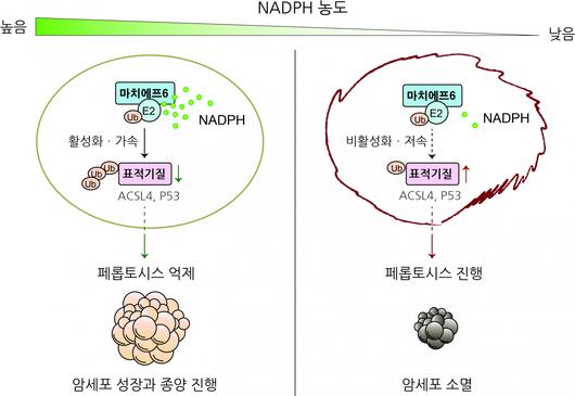 헤럴드경제