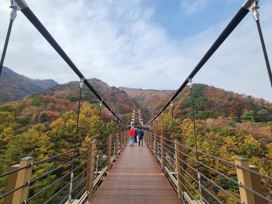 헤럴드경제