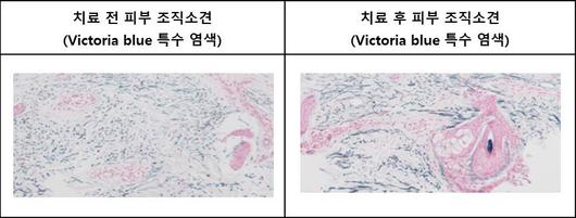 헤럴드경제