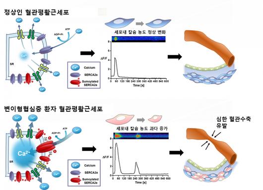 헤럴드경제