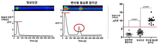 헤럴드경제