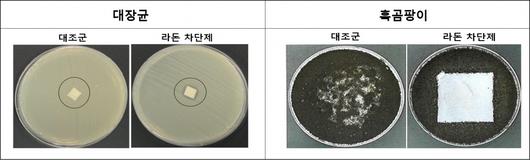 헤럴드경제