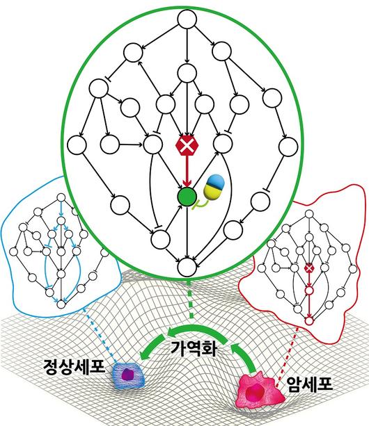 헤럴드경제