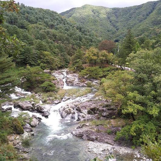 헤럴드경제