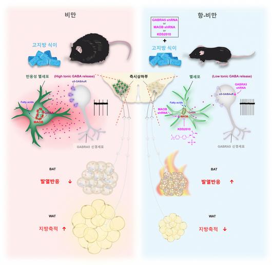 헤럴드경제