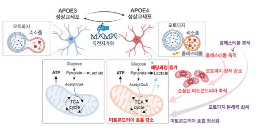 헤럴드경제