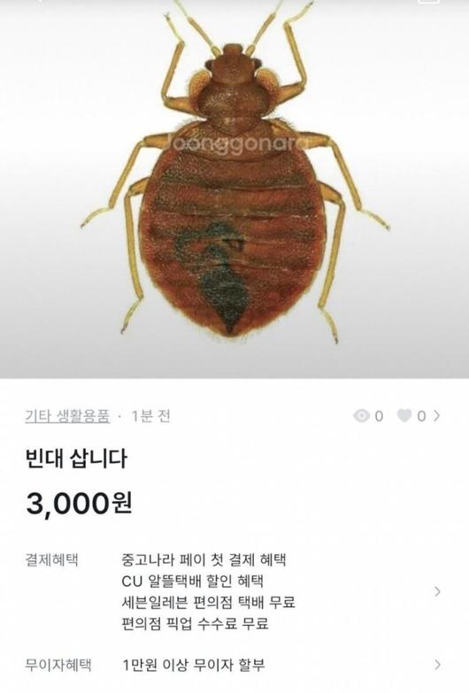 헤럴드경제