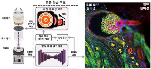 헤럴드경제