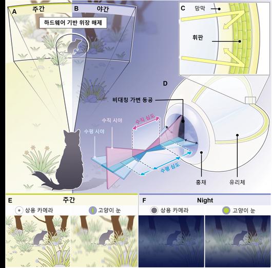 헤럴드경제