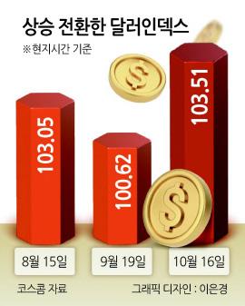 헤럴드경제