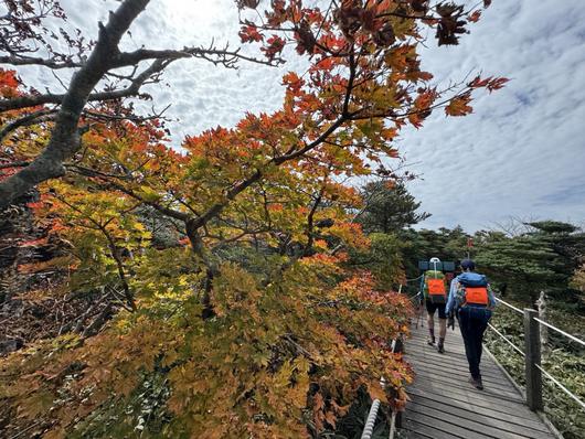 헤럴드경제