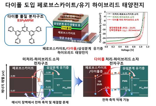 헤럴드경제