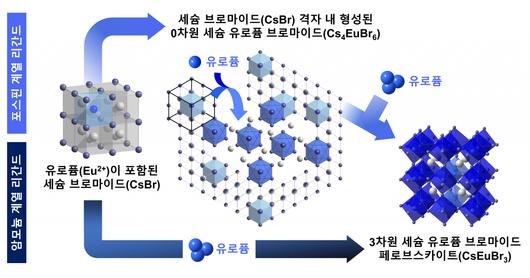 헤럴드경제