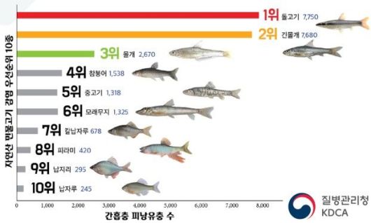 헤럴드경제