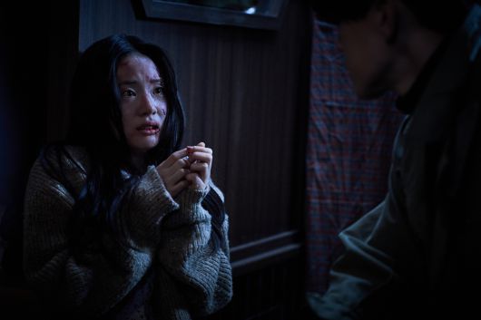 헤럴드경제