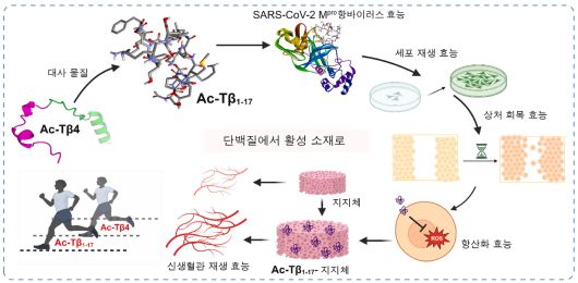 헤럴드경제