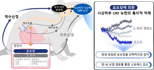 헤럴드경제
