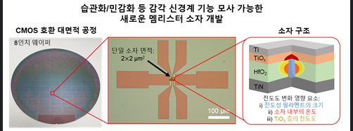 헤럴드경제