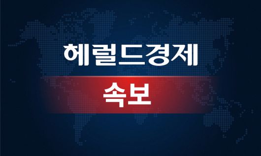 헤럴드경제