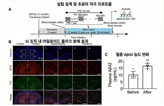 헤럴드경제