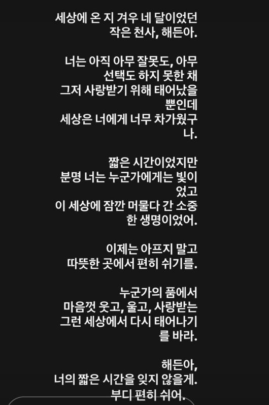 헤럴드경제