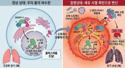 헤럴드경제