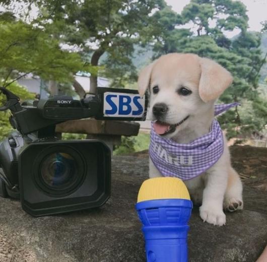 헤럴드경제