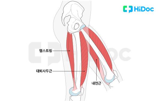 하이닥