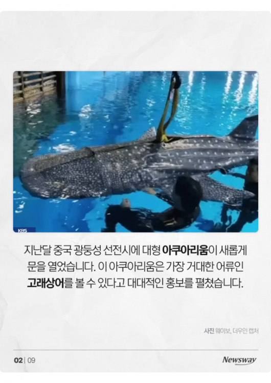 뉴스웨이