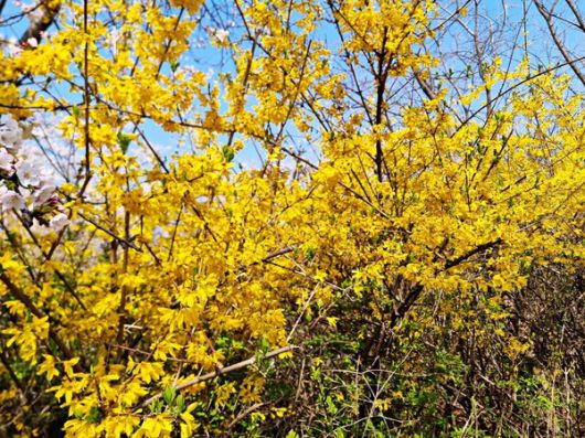 더게임스데일리