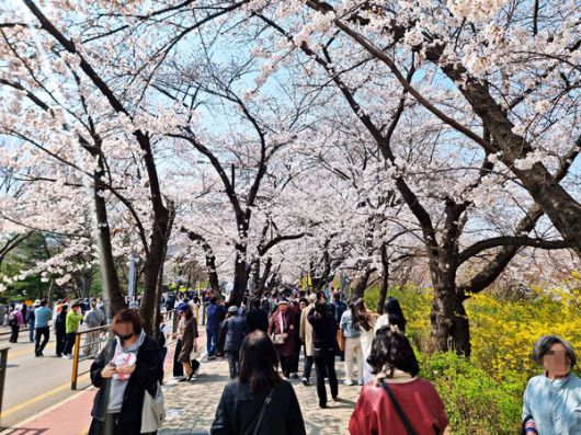 더게임스데일리