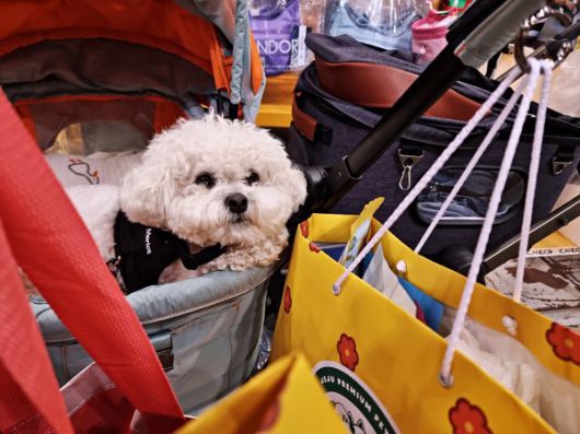 더게임스데일리