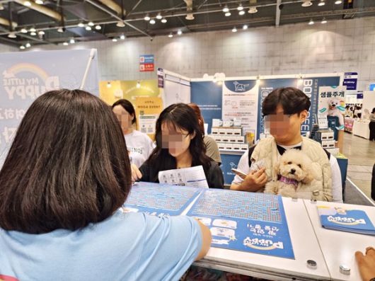 더게임스데일리