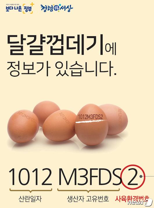 뉴스1