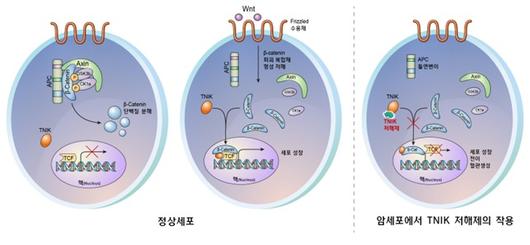 뉴스1