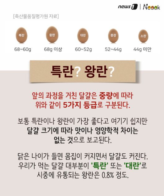 뉴스1