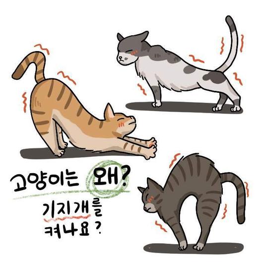 뉴스1