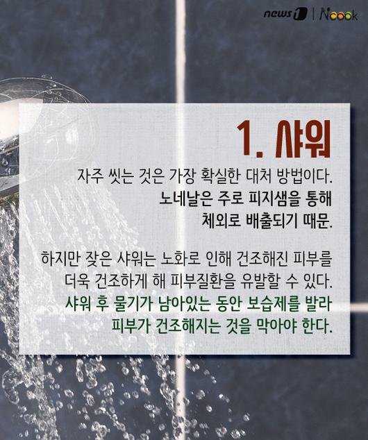 뉴스1