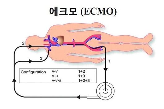 뉴스1