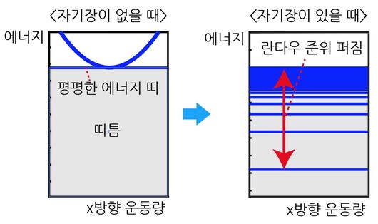 뉴스1